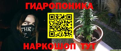 прущая мука Анапа