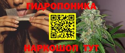 мяу мяу кристалл Ачхой-Мартан