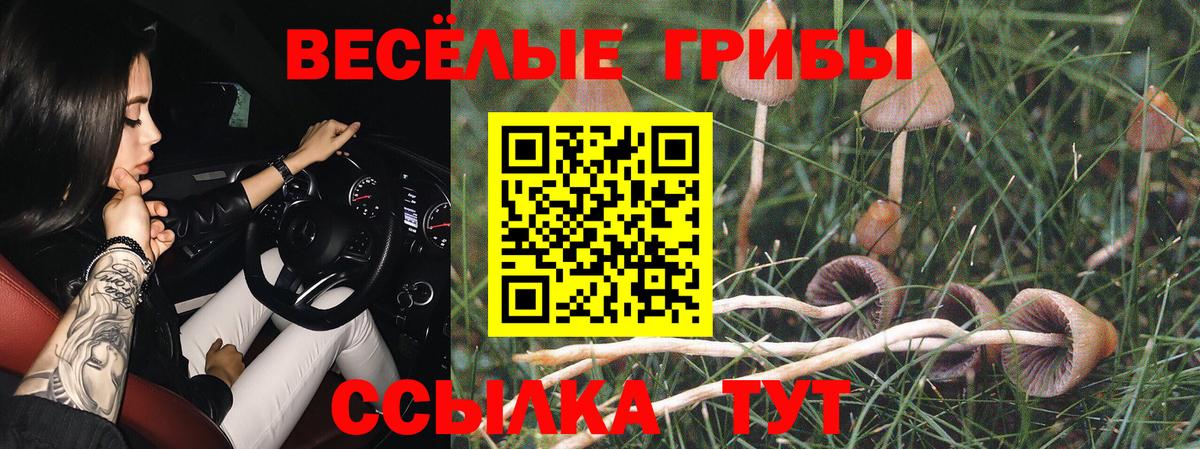 Алапаевск  Галлюциногенные грибы ЛСД  Вход с VPN 